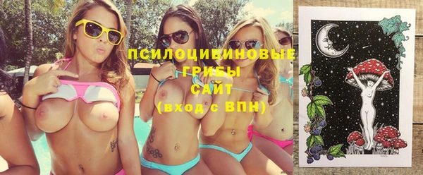 не бодяженный Белокуриха