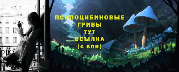 не бодяженный Белокуриха