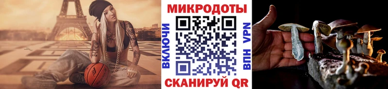 Псилоцибиновые грибы Cubensis  Серафимович 